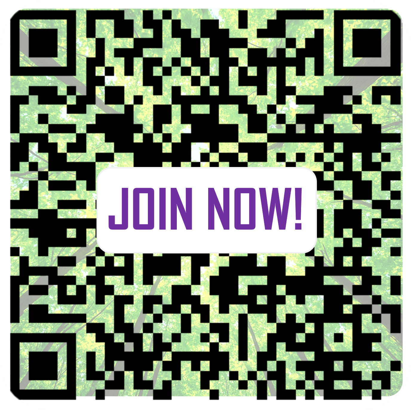QR Code with forest canopy pattern background